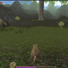 forest mouse